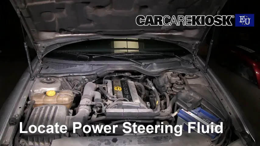 2000 Opel Omega GLS 2.2L 4 Cyl. Power Steering Fluid